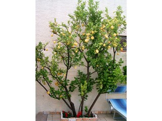 Camera per vacanze Pietra Ligure Registrazione all'aperto 8