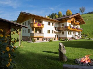 Appartement Kaltenbach Environnement 37