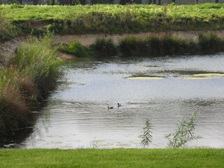 Casa per le vacanze Nordhorn Registrazione all'aperto 3
