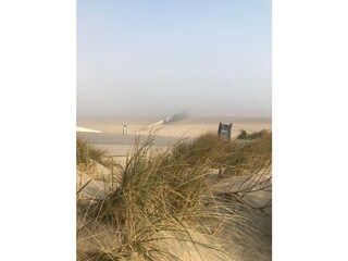 Appartamento per vacanze Cadzand-Bad Ambiente 24