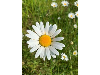 Appartamento per vacanze Cadzand-Bad Ambiente 20