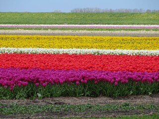 Appartamento per vacanze Cadzand-Bad Ambiente 21