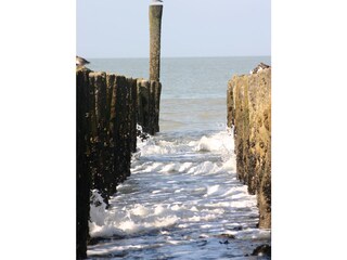 Appartamento per vacanze Cadzand-Bad Ambiente 14