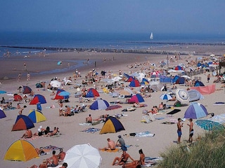 Holiday house Cadzand-Bad Environment 16