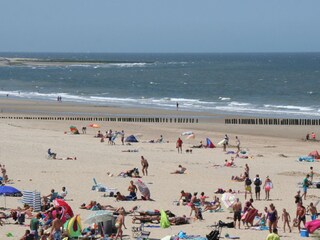 Appartamento per vacanze Nieuwvliet Ambiente 19