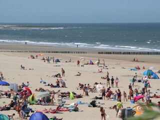 Appartamento per vacanze Nieuwvliet Ambiente 13