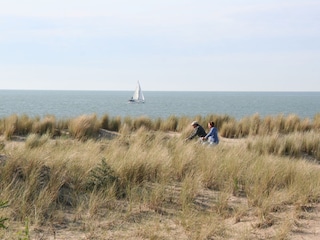 Vakantieappartement Nieuwvliet Omgeving 15