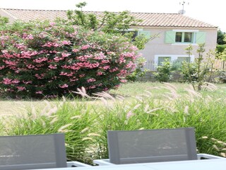 Villa Pailhès Outdoor Recording 2