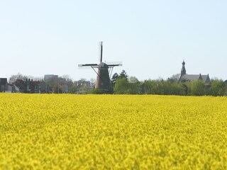 Villa Cadzand-Bad Ambiente 16