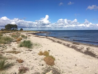 Holiday house Wangels & Weißenhäuser Strand Environment 32