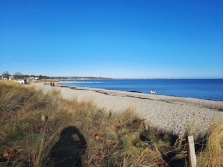 feiner Ostseestrand