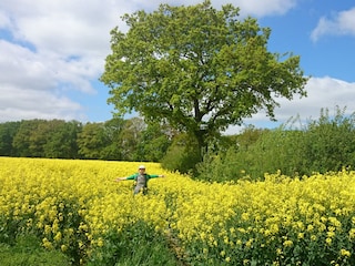 schönes Schleswig-Holstein