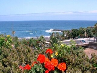 Casa de vacaciones Tacoronte Entorno 22