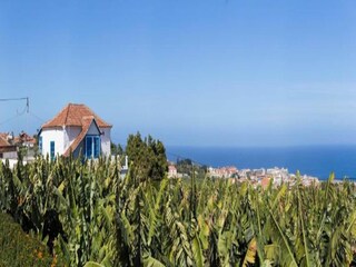 Maison de vacances Tacoronte Environnement 39