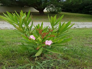 Villa Brugairolles Buitenaudio-opname 5