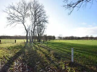 Vakantiehuis Linde Buitenaudio-opname 3