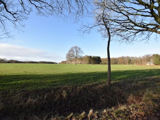 Ferienhaus Linde Außenaufnahme 9