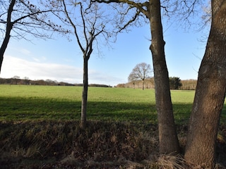 Vakantiehuis Linde Buitenaudio-opname 7