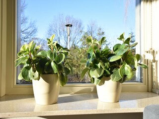 Vakantiehuis Linde  27