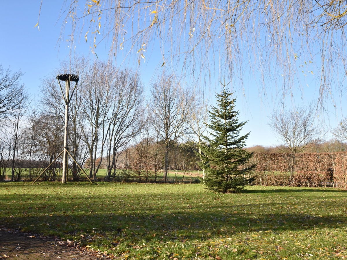 Ferienhaus Linde Außenaufnahme 1