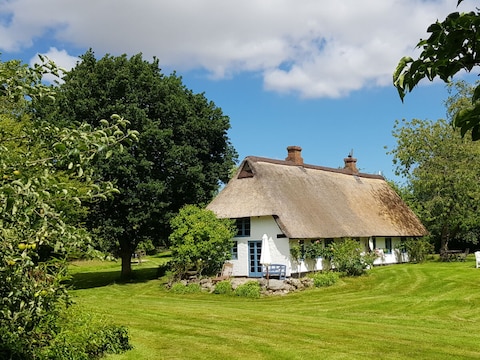 Landhaus Reetdachkate in der Wiese