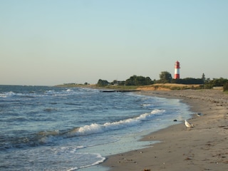 Strand in Falshöft