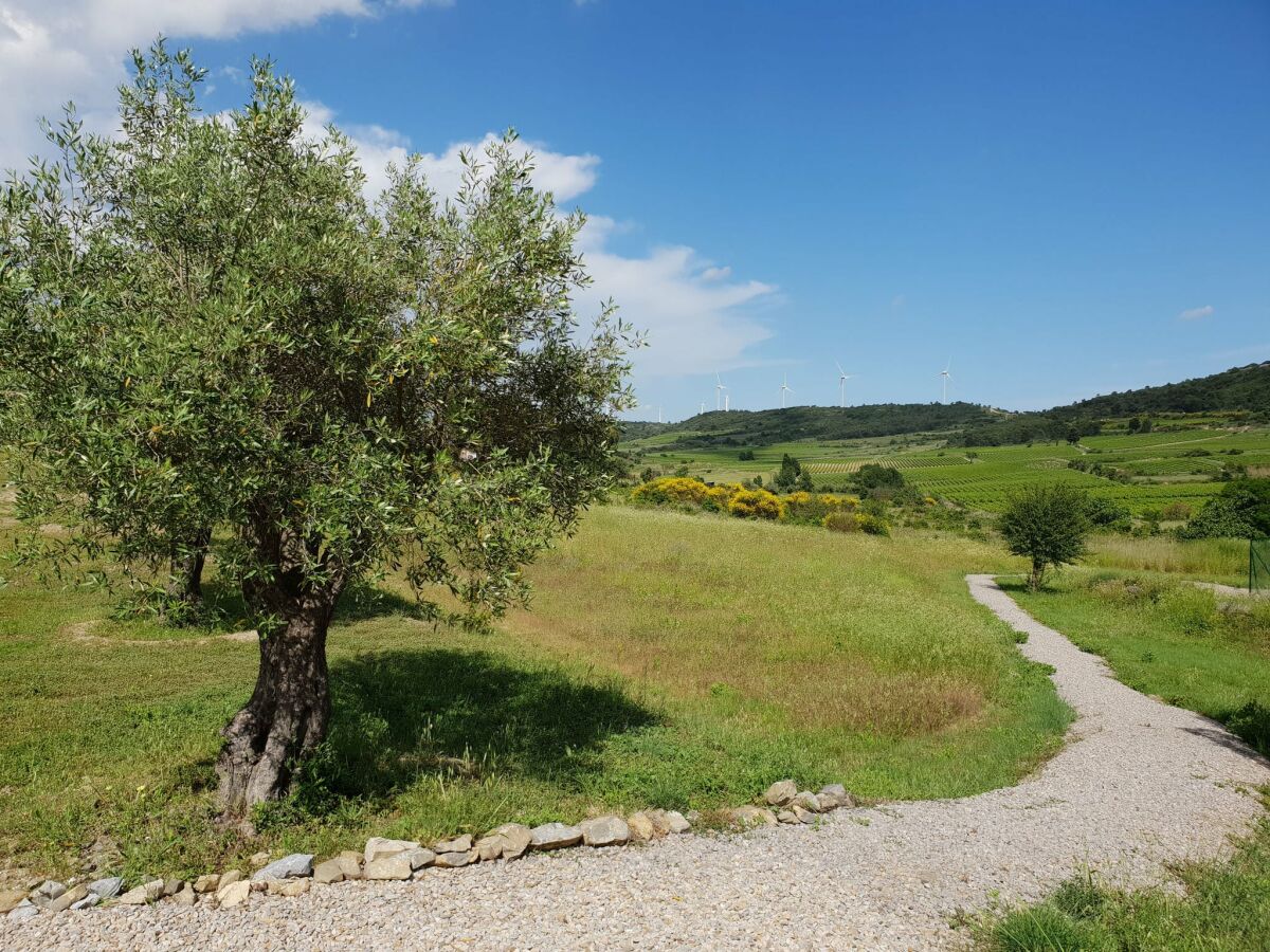 Villa Montbrun-des-Corbières Grabación al aire libre 1