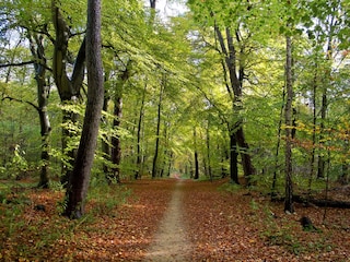 Casa per le vacanze Loosdrecht Ambiente 11