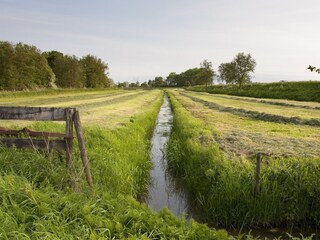 Vakantiehuis Loosdrecht Omgeving 12