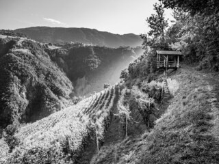 Apartamento de vacaciones Völs am Schlern Grabación al aire libre 10
