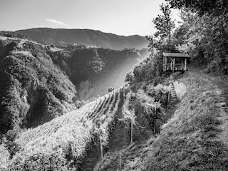 Holiday apartment Völs am Schlern Outdoor Recording 6