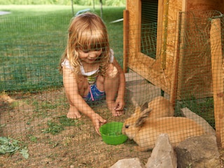 Holiday apartment Völs am Schlern Outdoor Recording 5