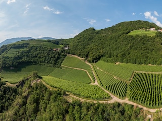 Holiday apartment Völs am Schlern Outdoor Recording 14