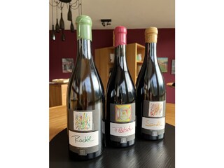 Vakantieappartement Völs am Schlern Buitenaudio-opname 18