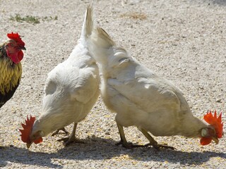 Apartamento de vacaciones Völs am Schlern Grabación al aire libre 11