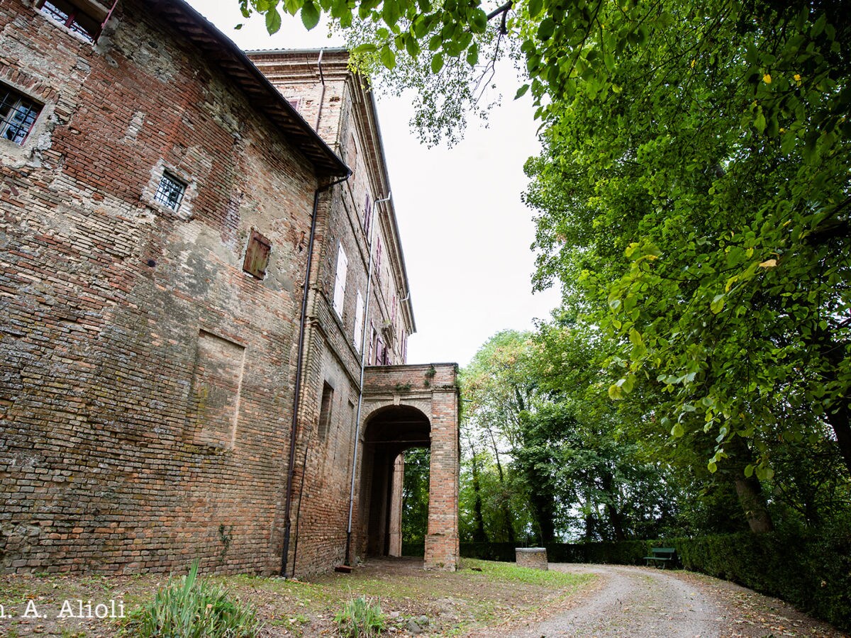 The castle and the garden