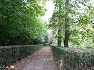 Appartamento per vacanze Robella Registrazione all'aperto 12