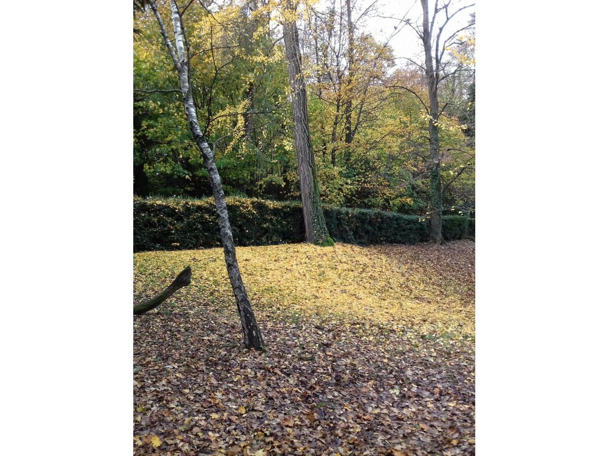 Herbst im Schlosspark