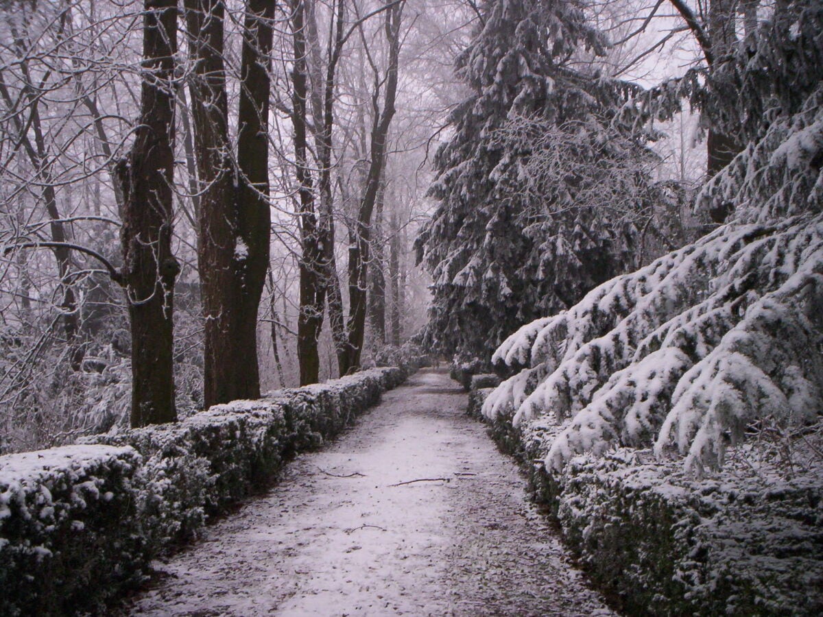 Sclosspark im Winter