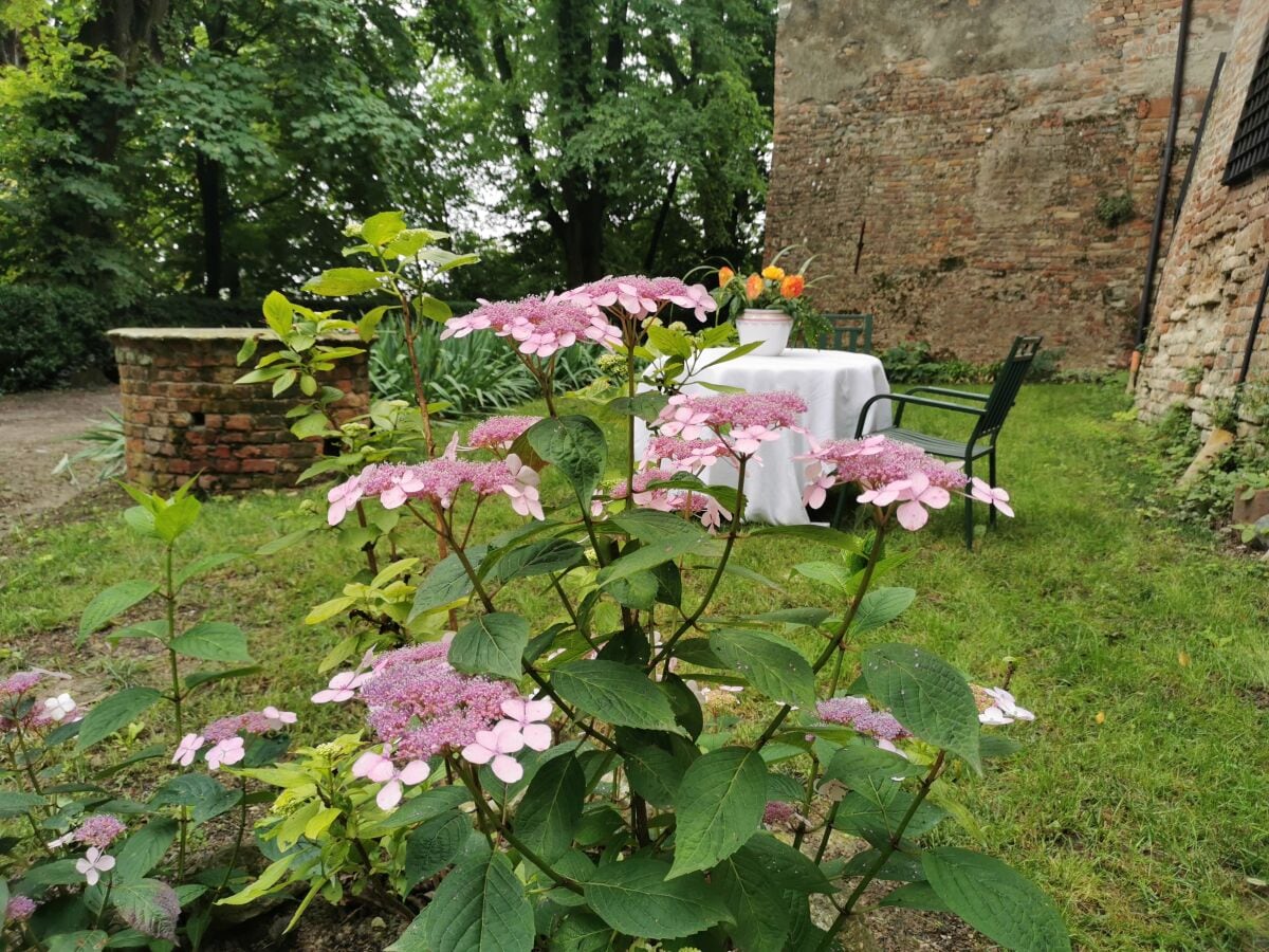 Platz im Garten für Gäste