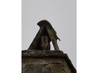 Appartamento per vacanze Robella Registrazione all'aperto 7