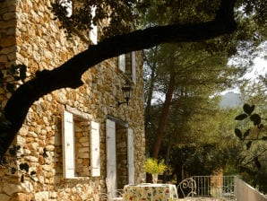 Ferienhaus Provence pur mit großem Pool - Gigondas - image1