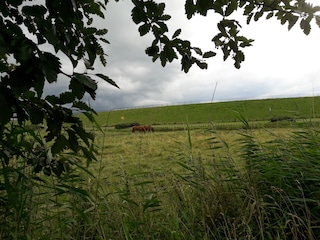 Blick hinterm Deich