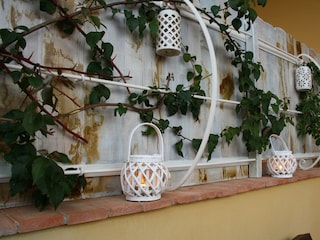 Villa Castagneto Carducci Umgebung 10