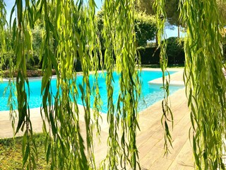 Villa Castagneto Carducci Piscine 38