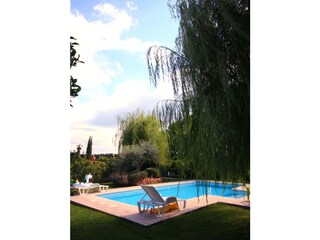 Villa Castagneto Carducci Piscine 36