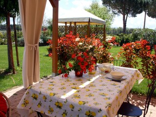 Villa Castagneto Carducci Environnement 3
