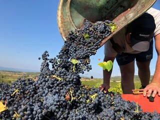 Villa Montbrun-des-Corbières Außenaufnahme 20