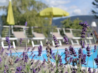 Appartamento per vacanze Lana Ambiente 12