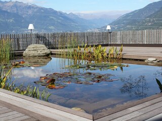 Appartamento per vacanze Lana Ambiente 17